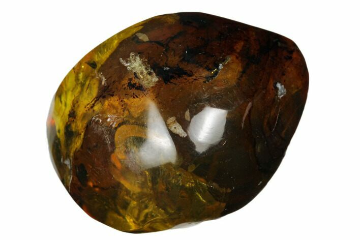 Polished Chiapas Amber ( g) - Mexico #180412